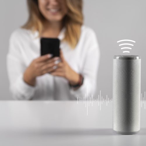 Voice Search Optimization